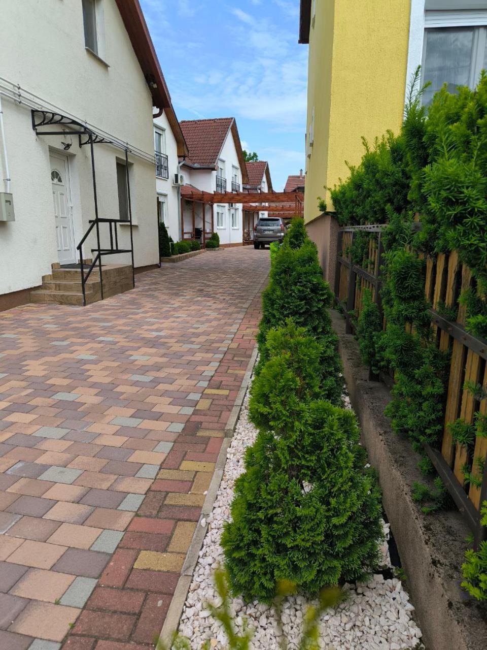 Nika Гайдусобосло